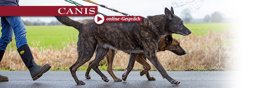 CANIS online Gespräch: