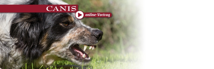 CANIS online Vortrag: Aggressiver Hund = böser Hund