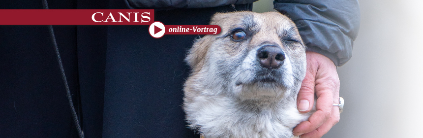 Emotionen und Motivation beim Hund (Online-Abendvortrag)