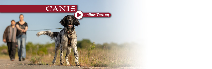 Gutes Mantrailingtraining – wie geht das? (Online-Abendvortrag)