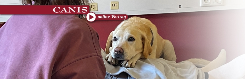 CANIS-online Vortrag: Tierschutzhund vs. Rassehund – welcher Hund eignet sich als Therapiebegleithund/Päddog?