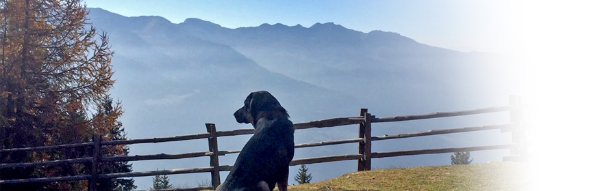 Die Dolomiten im Blick: der Kohlern in Südtirol (ausgebucht!)