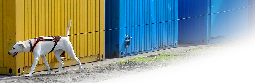 Mantrailing für alle