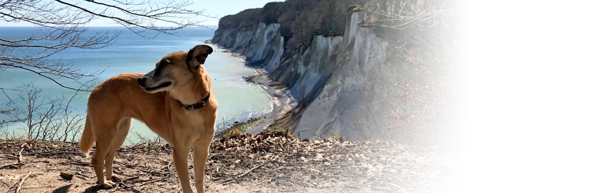 Frühling auf Rügen
