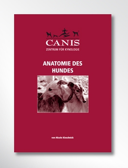 CANIS-Skript: Anatomie des Hundes