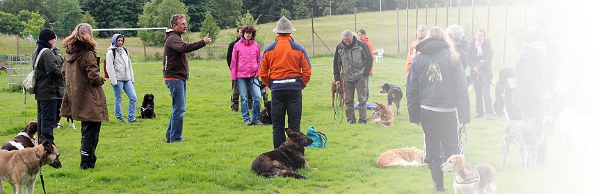 Übungsaufbau und Gestaltung von Gruppentraining